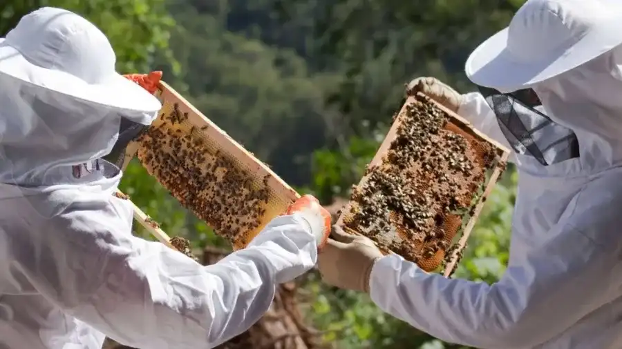 مدار الساعة,أخبار الأردن,اخبار الاردن,وزير الزراعة,وزارة الزراعة