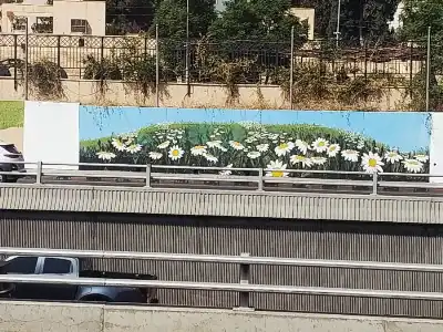 وزارة الثقافة تزين دوار الداخلية بجداريات