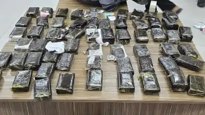 الجمارك تحبط تهريب 296 كفّا من