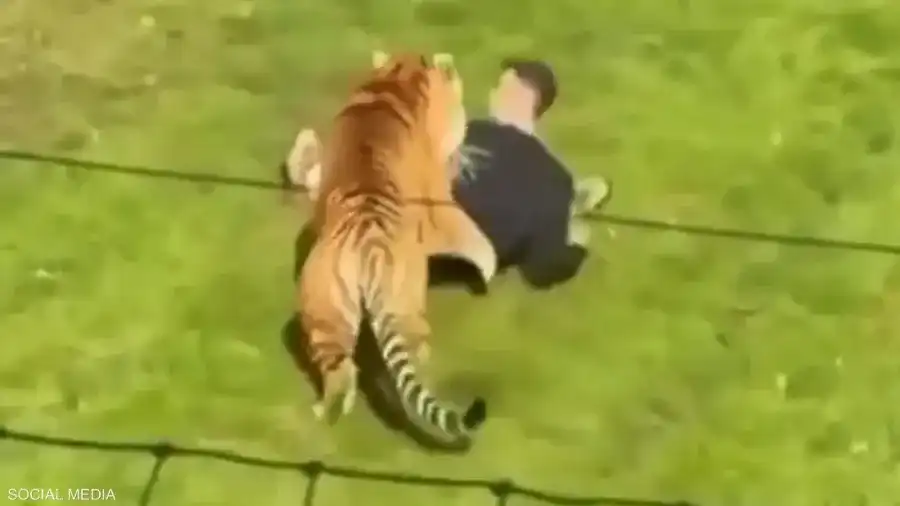 مدار الساعة,Video,فيديو,أخبار خفيفة ومنوعة