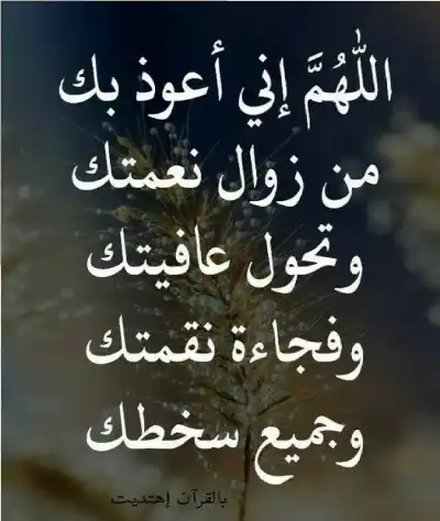 الأمل المذموم.. فجوة لا يمهلها الأجل..