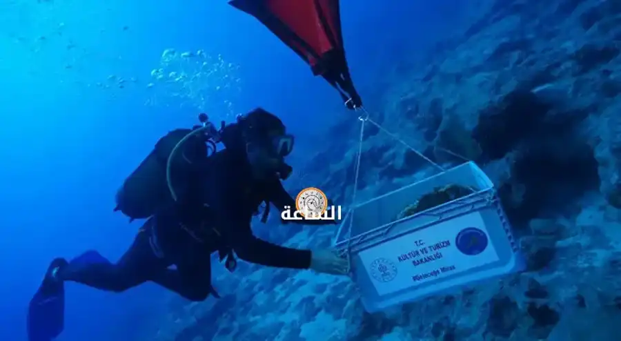 مدار الساعة,أخبار الأردن,اخبار الاردن,أخبار عربية ودولية,أخبار خفيفة ومنوعة,وزير الثقافة,وادي الأردن,مواقع التواصل الاجتماعي