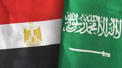 الدفاع الوطني المصري يقرر تقديم الدعم