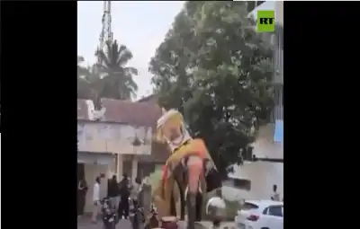 فيل غاضب يقلب موكبا دينيا إلى
