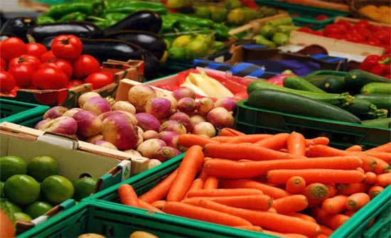 مدار الساعة,أخبار اقتصادية,وزارة الزراعة