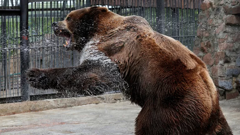 مدار الساعة,أخبار خفيفة ومنوعة