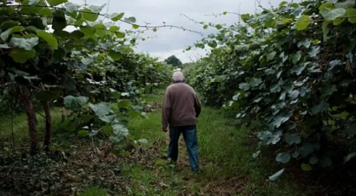 مدار الساعة,أخبار خفيفة ومنوعة,وزارة الداخلية