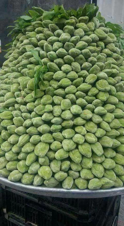 مدار الساعة,أخبار خفيفة ومنوعة