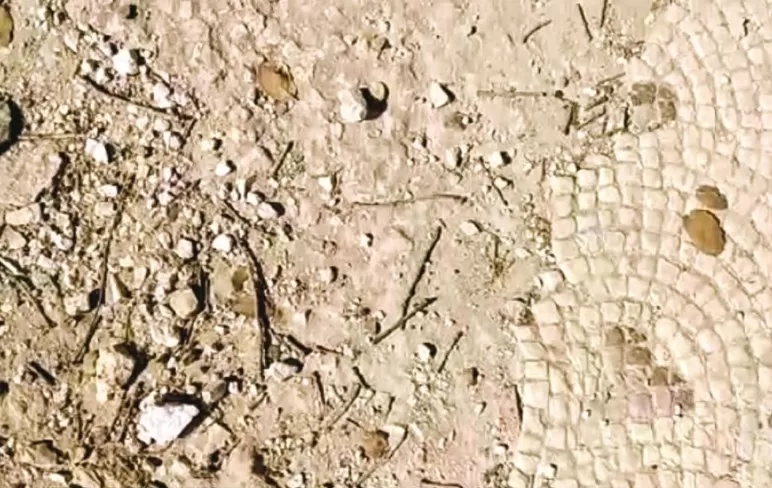 مدار الساعة,أخبار الأردن,اخبار الاردن