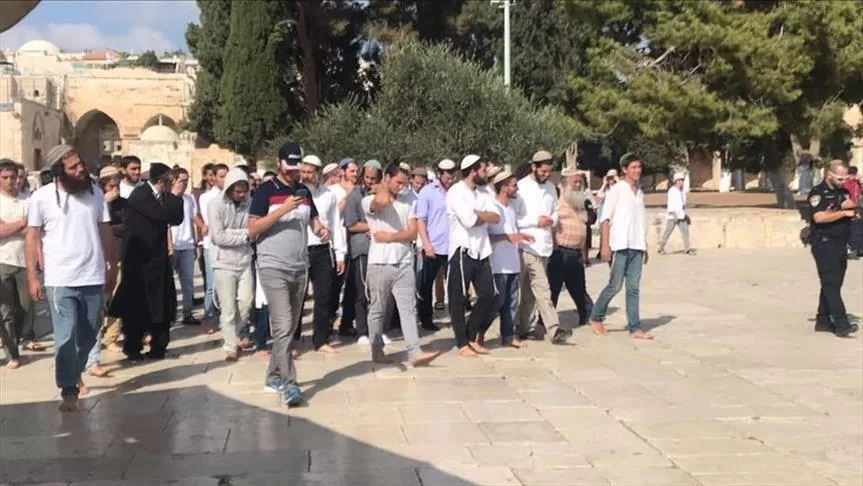 مدار الساعة,أخبار عربية ودولية,المسجد الأقصى