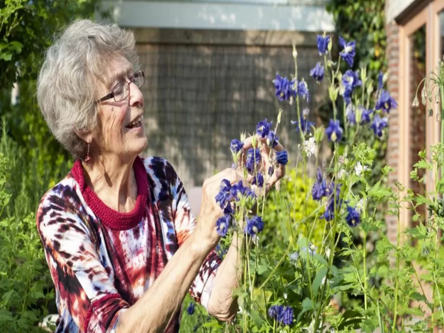 مدار الساعة,أخبار عربية ودولية