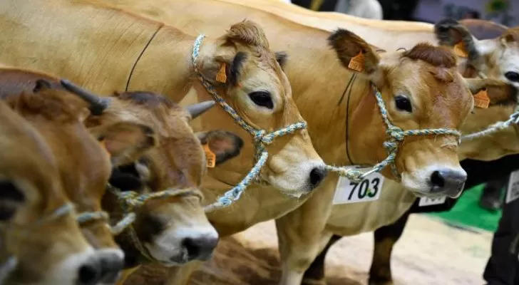 مدار الساعة,أخبار عربية ودولية,رئيس الوزراء