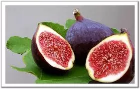 مدار الساعة,أخبار الأسرة