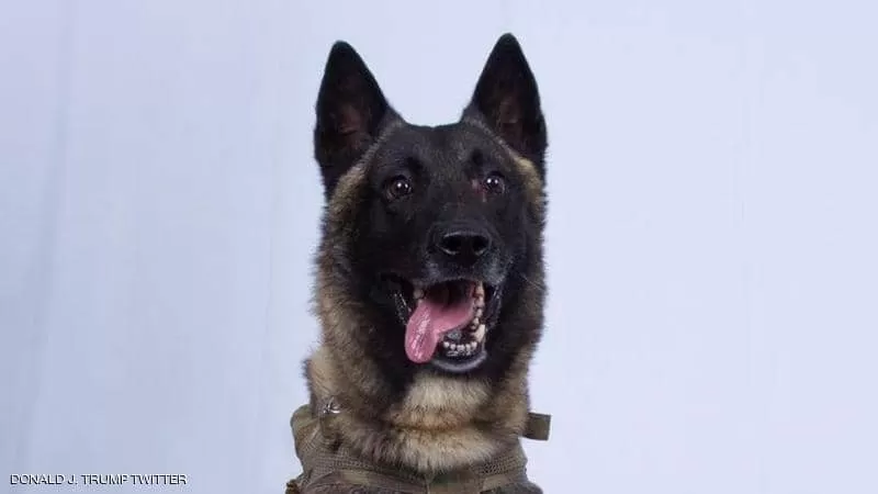 مدار الساعة,أخبار عربية ودولية,القوات المسلحة