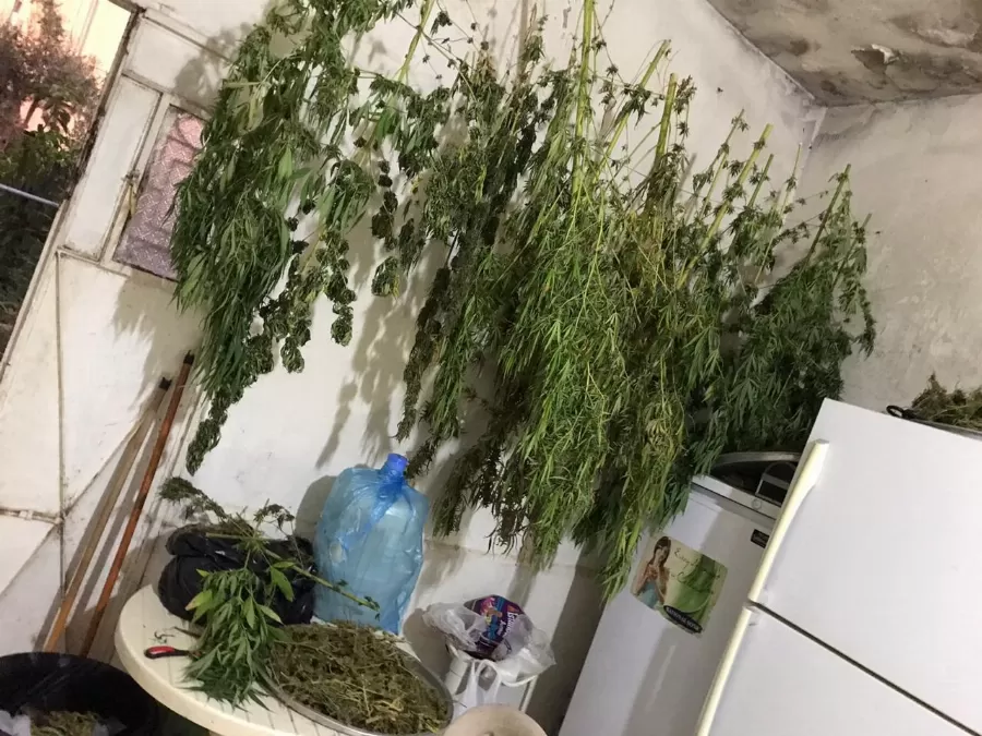 مدار الساعة,أخبار الأردن,اخبار الاردن