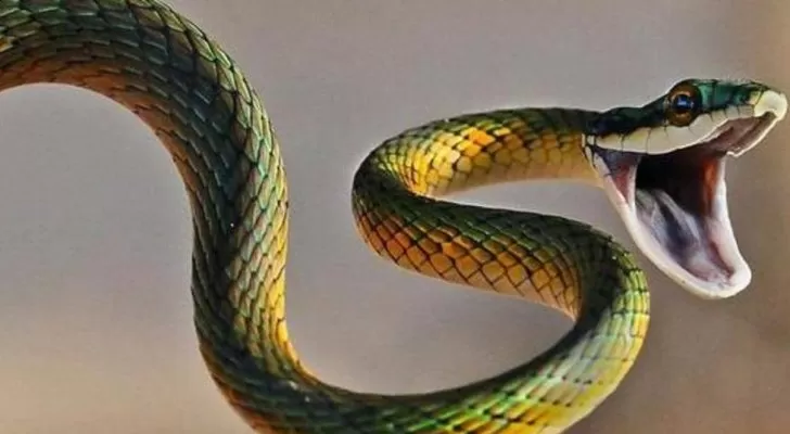 مدار الساعة,أخبار خفيفة ومنوعة