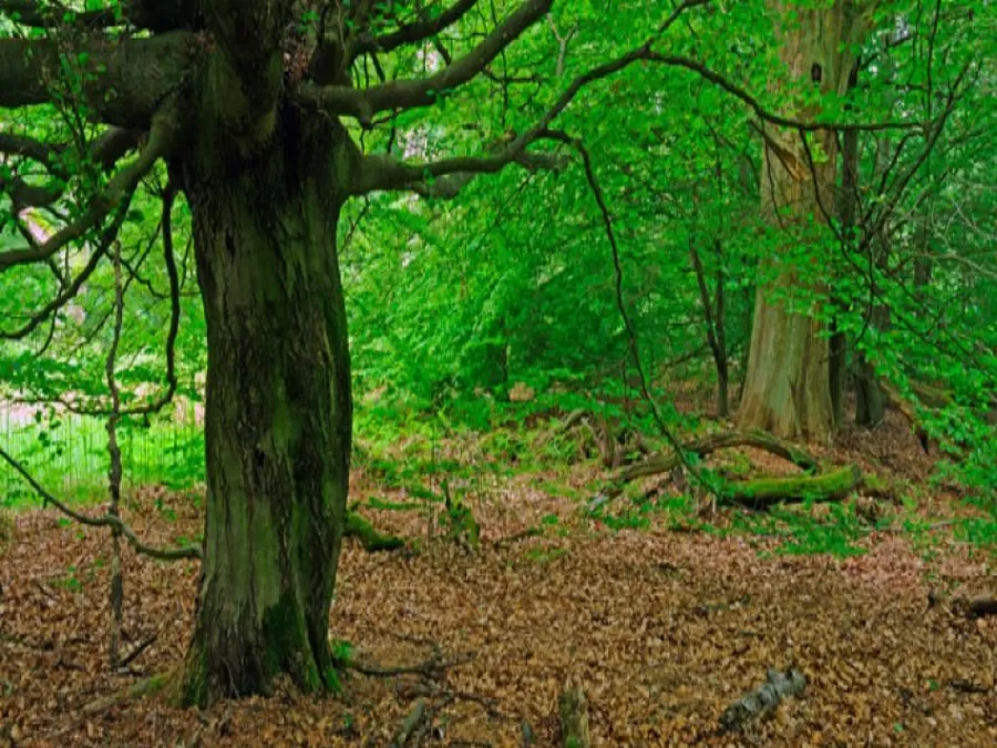 مدار الساعة,أخبار خفيفة ومنوعة