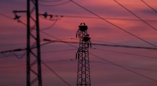 مدار الساعة,أخبار اقتصادية,وزارة المالية,شركة الكهرباء الوطنية,وزارة الطاقة,مجلس النواب