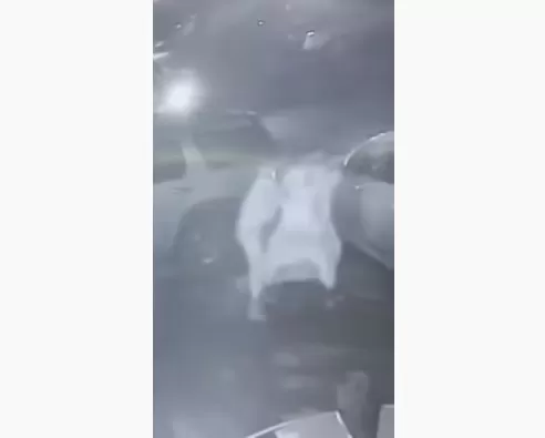 مدار الساعة,Video,فيديو,أخبار عربية ودولية,مواقع التواصل الاجتماعي