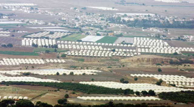 مدار الساعة,أخبار اقتصادية,مؤسسة الإقراض الزراعي,وادي الأردن,الإقراض الزراعي