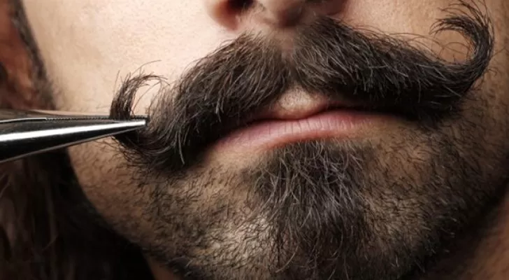 مدار الساعة,أخبار خفيفة ومنوعة