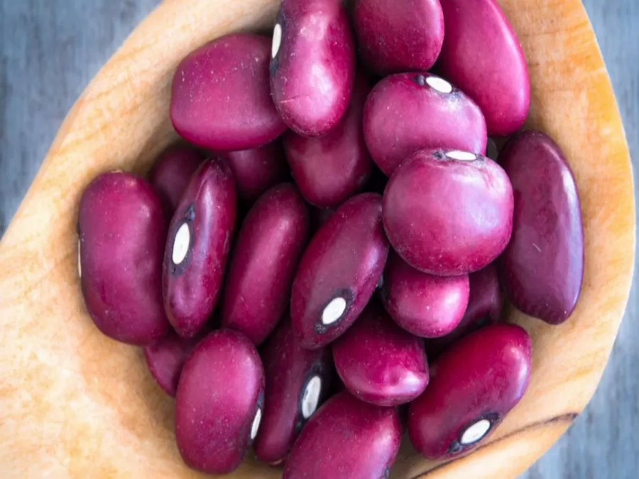 مدار الساعة,أخبار خفيفة ومنوعة,الاتحاد الأوروبي