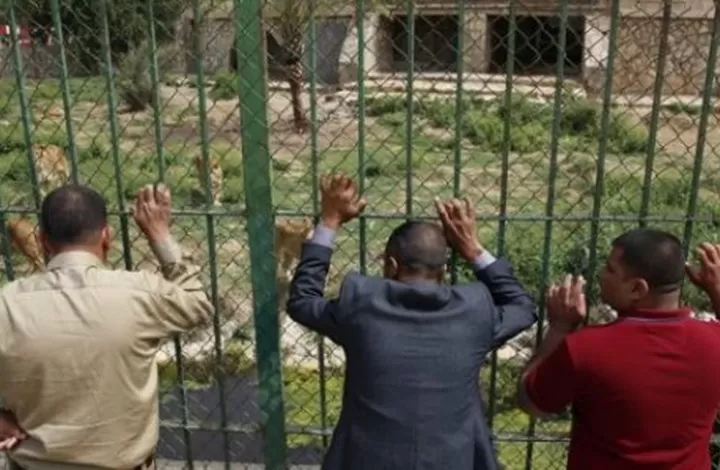 مدار الساعة,أخبار خفيفة ومنوعة