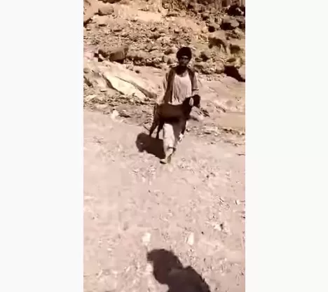 مدار الساعة,Video,فيديو,أخبار خفيفة ومنوعة,مواقع التواصل الاجتماعي