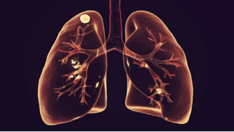 مدار الساعة,أخبار خفيفة ومنوعة
