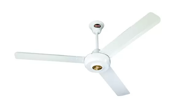 مدار الساعة,أخبار خفيفة ومنوعة