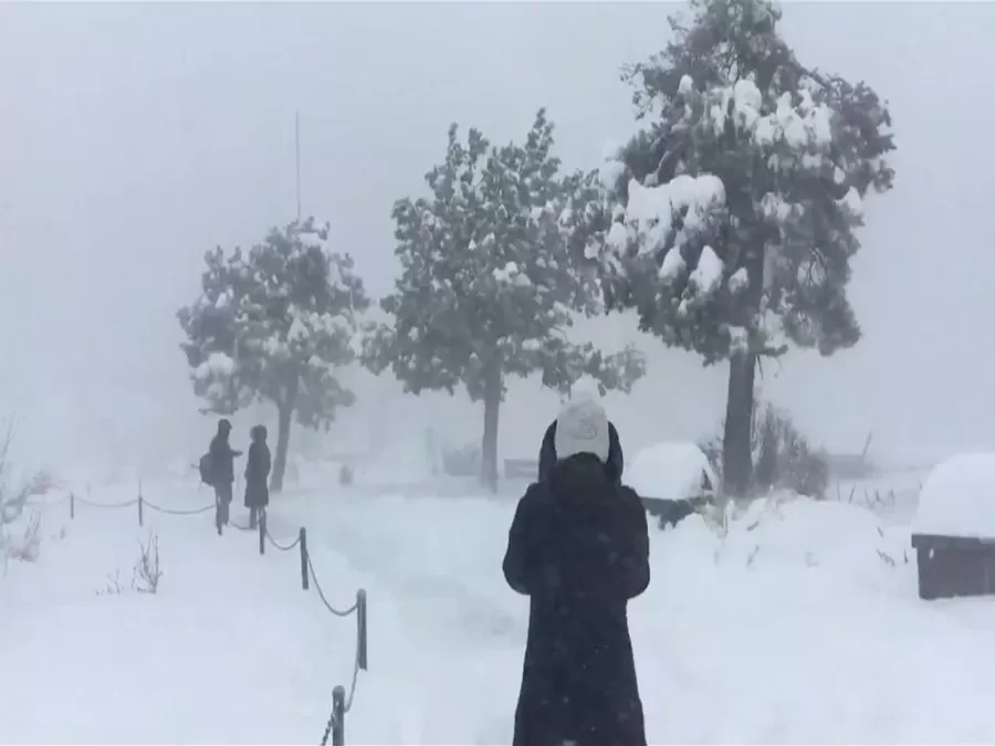 مدار الساعة,أخبار خفيفة ومنوعة