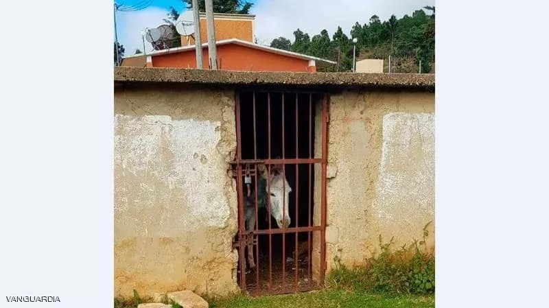 مدار الساعة,أخبار خفيفة ومنوعة