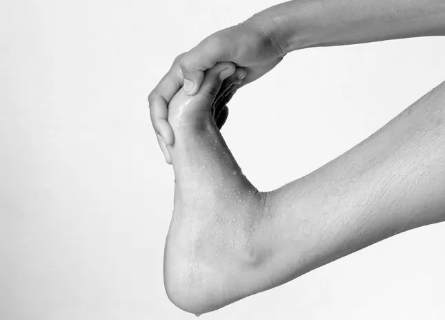 مدار الساعة,أخبار الأسرة