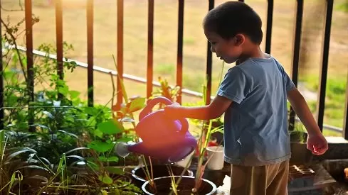 مدار الساعة,أخبار ثقافية