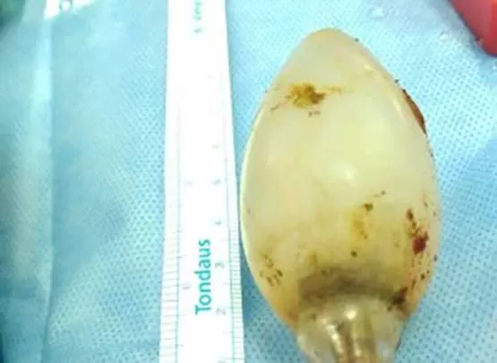 مدار الساعة,أخبار خفيفة ومنوعة