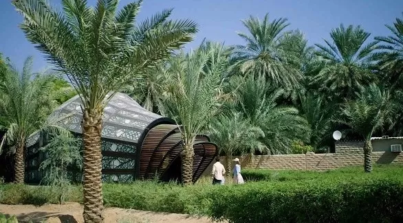 مدار الساعة,أخبار ثقافية