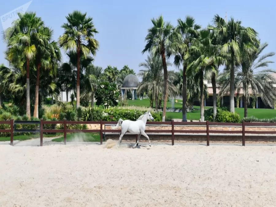 مدار الساعة,أخبار خفيفة ومنوعة