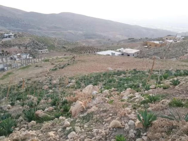 مدار الساعة,أخبار الأردن,اخبار الاردن,وزارة التربية والتعليم