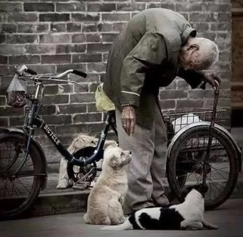 مدار الساعة,مقالات