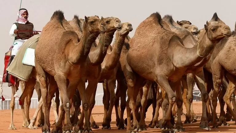 مدار الساعة,أخبار خفيفة ومنوعة,وزارة البيئة