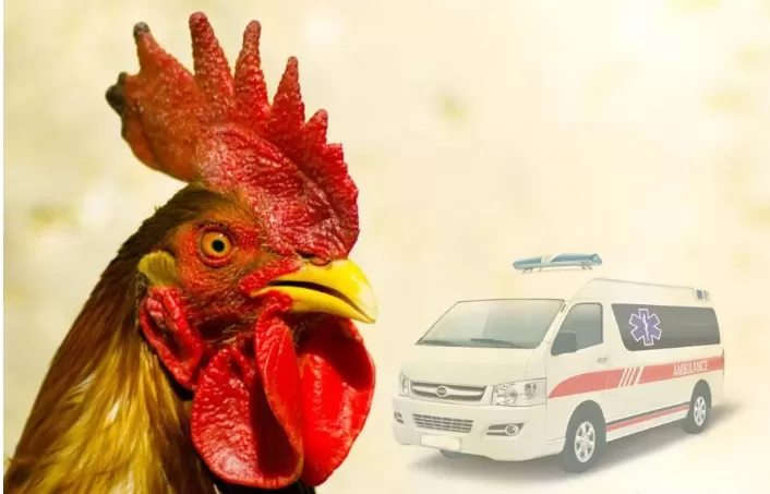 مدار الساعة,أخبار الأردن,اخبار الاردن