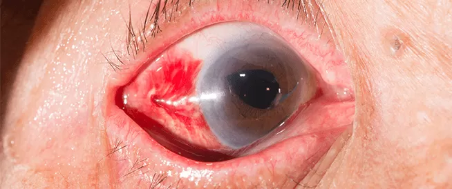 مدار الساعة,أخبار خفيفة ومنوعة