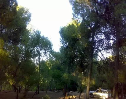مدار الساعة,أخبار الأردن,اخبار الاردن,وزارة الزراعة
