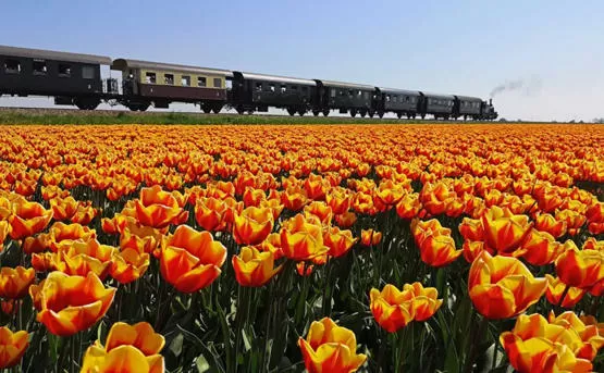 مدار الساعة,أخبار خفيفة ومنوعة