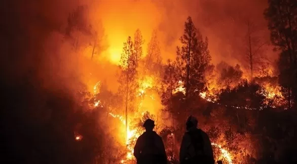 مدار الساعة,أخبار خفيفة ومنوعة,وزيرة الدفاع,رئيس الوزراء,الأرصاد الجوية
