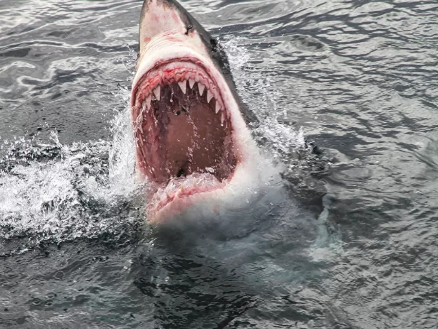 مدار الساعة,أخبار رياضية