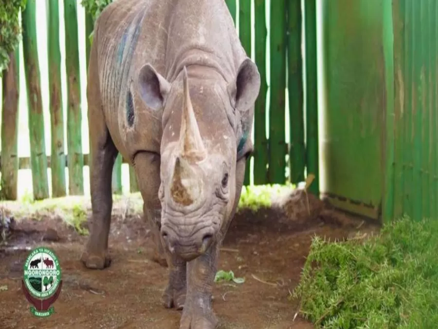 مدار الساعة,أخبار خفيفة ومنوعة