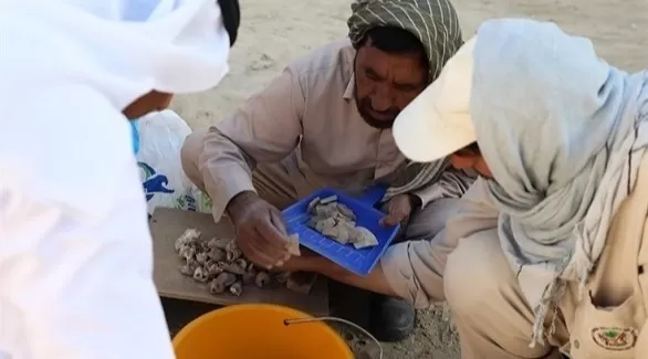 مدار الساعة,أخبار ثقافية,الإمارات العربية المتحدة
