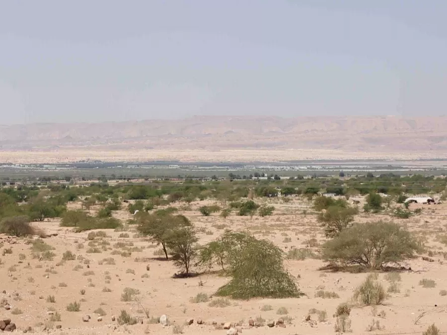 مدار الساعة,أخبار الأردن,اخبار الاردن,القوات المسلحة