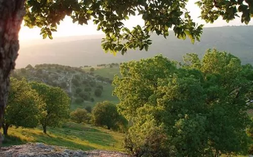 مدار الساعة,أخبار الأردن,اخبار الاردن,درجات الحرارة